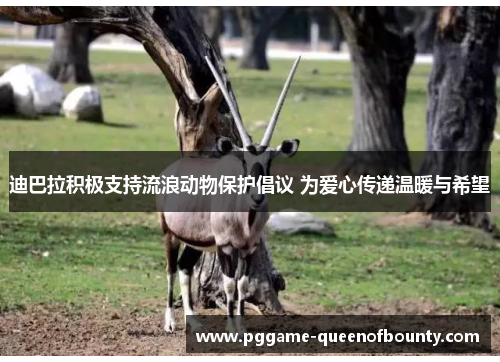 迪巴拉积极支持流浪动物保护倡议 为爱心传递温暖与希望