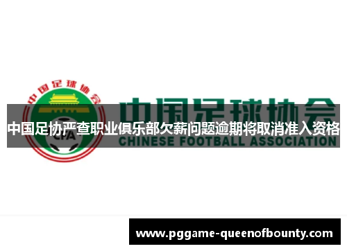 中国足协严查职业俱乐部欠薪问题逾期将取消准入资格