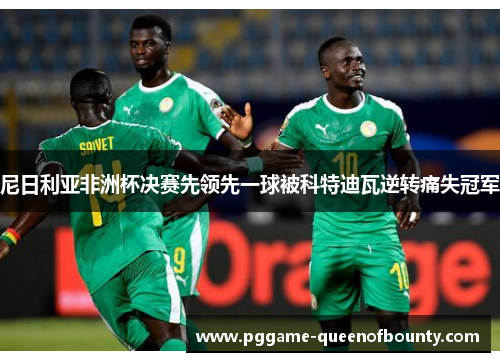 尼日利亚非洲杯决赛先领先一球被科特迪瓦逆转痛失冠军
